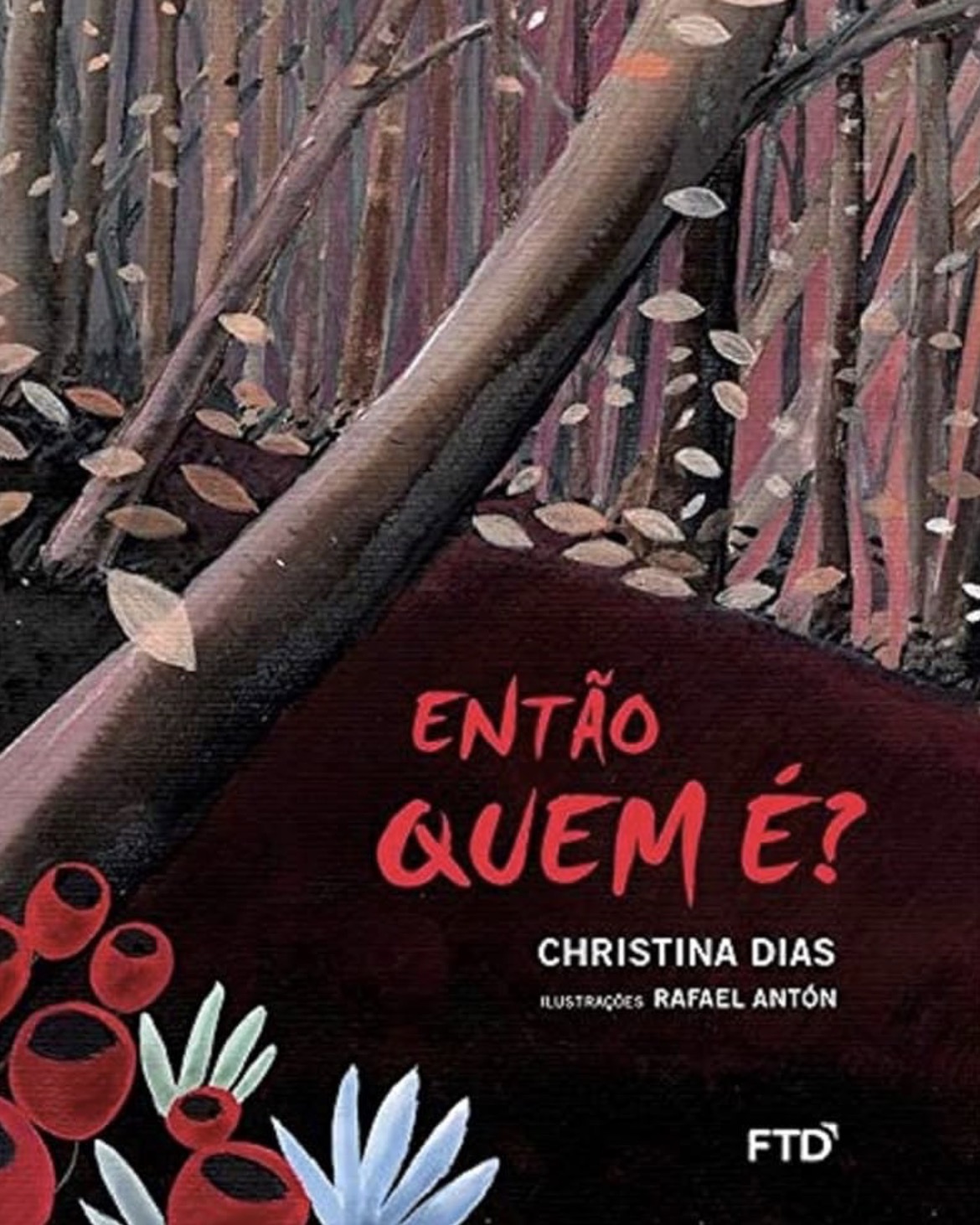 Capa de Então quem é?