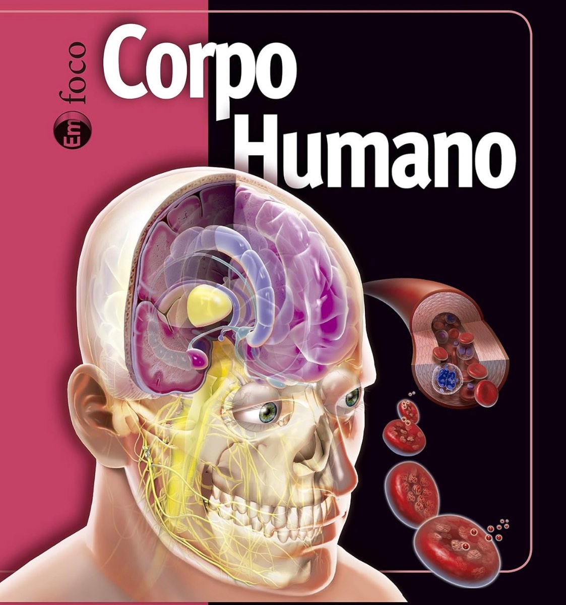 Capa de Corpo humano