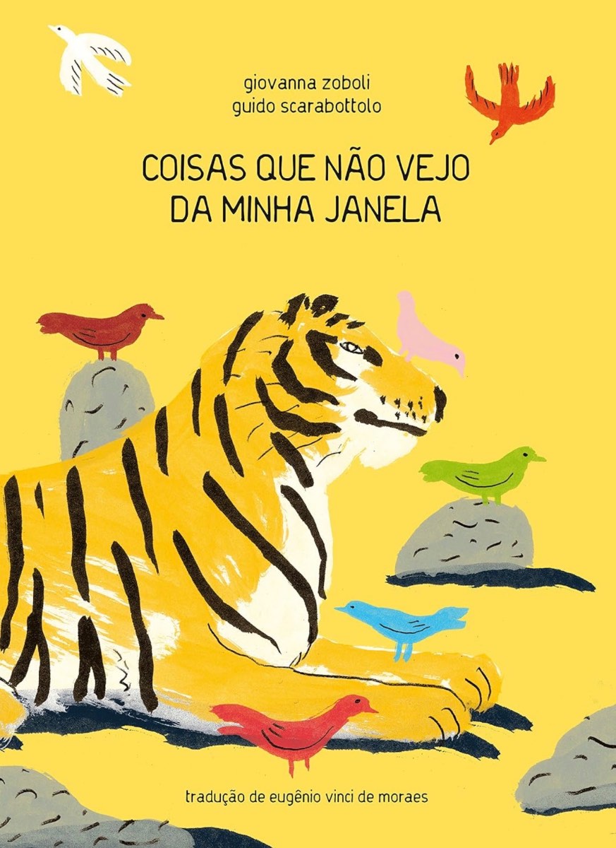Capa de Coisas que não vejo da minha janela