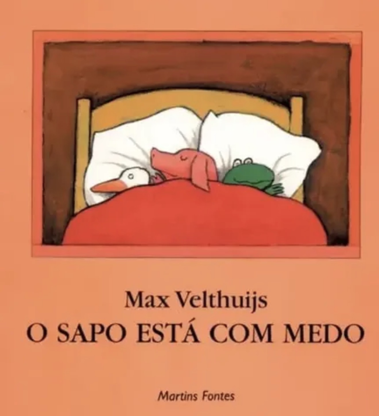 Capa de O sapo está com medo