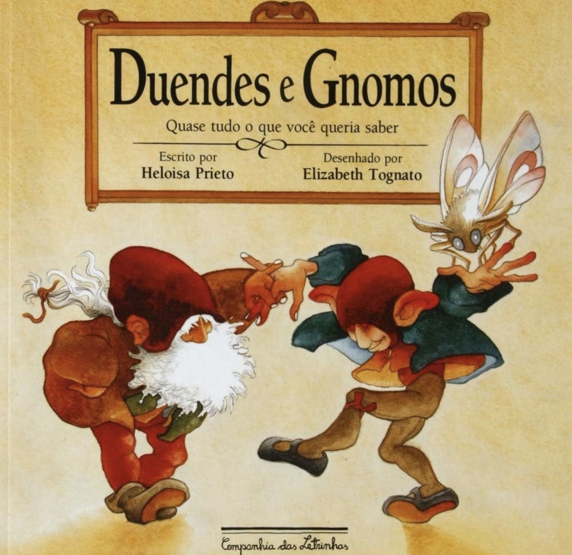 Capa de Duendes e Gnomos