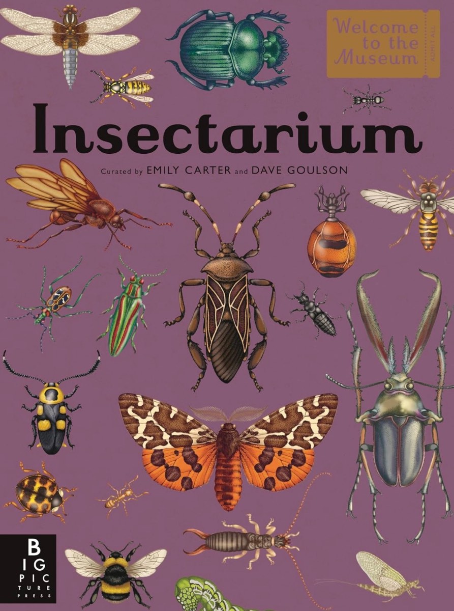 Capa de Insectarium