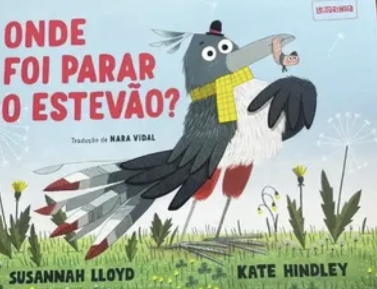 Capa de Onde foi parar o Estevão?