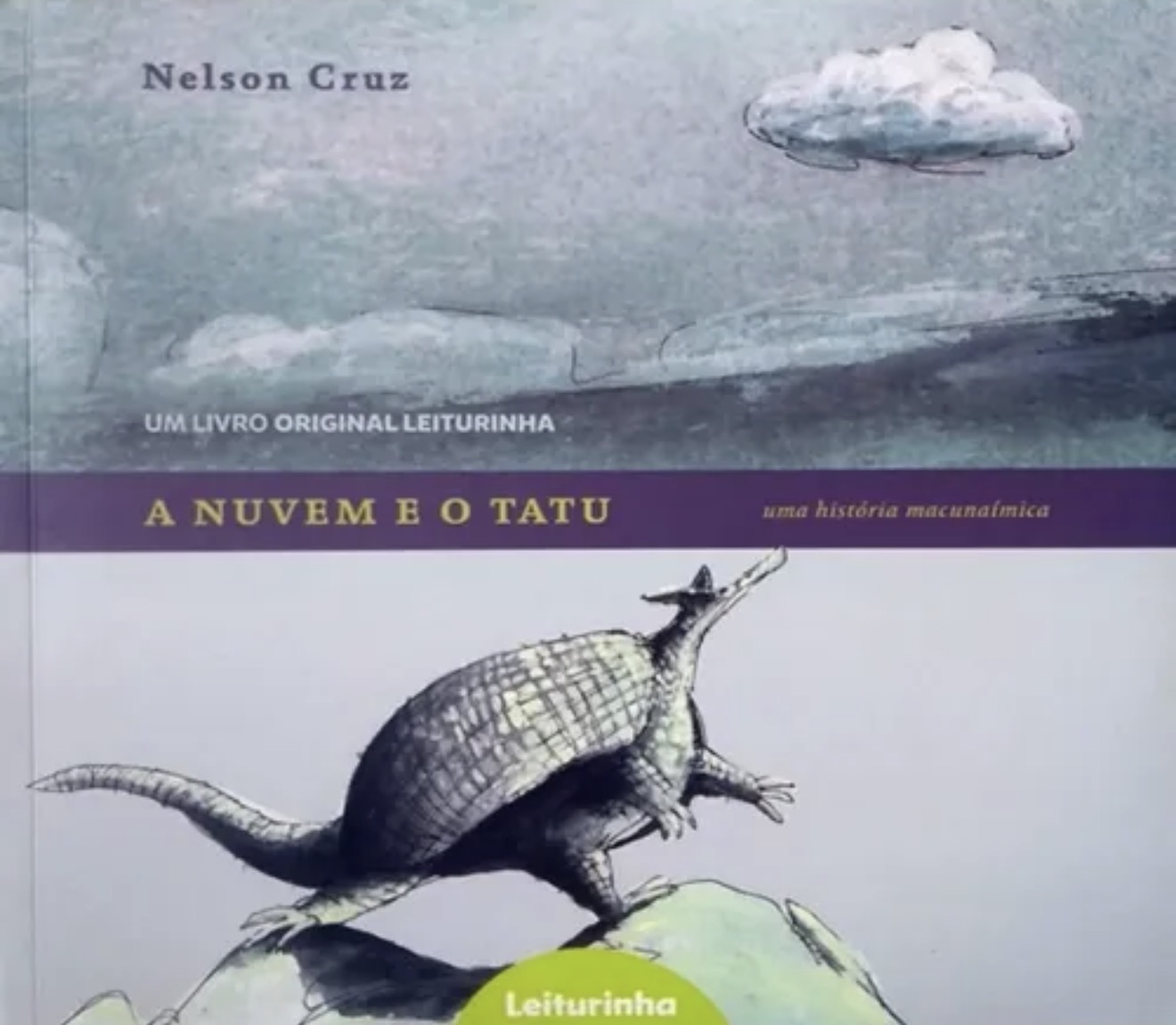 Capa de A nuvem e o tatu